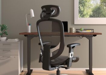 Guide for Choosing a Work Chair for a Home Office